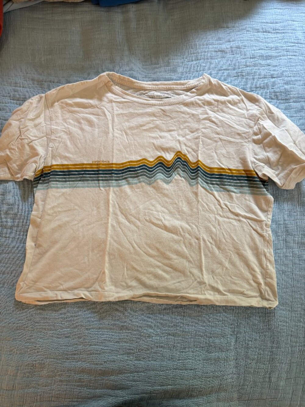 Boxy Patagonia Tee